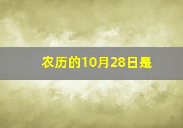 农历的10月28日是