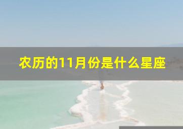 农历的11月份是什么星座