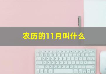 农历的11月叫什么