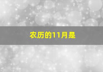 农历的11月是