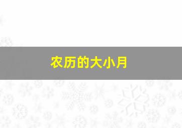 农历的大小月