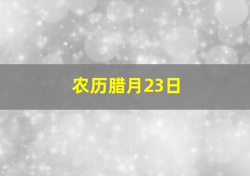 农历腊月23日