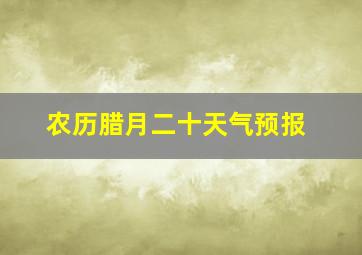 农历腊月二十天气预报