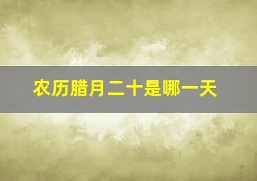 农历腊月二十是哪一天