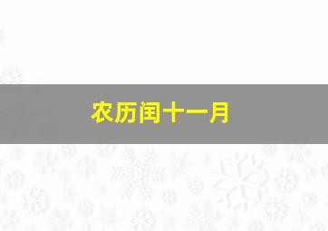 农历闰十一月