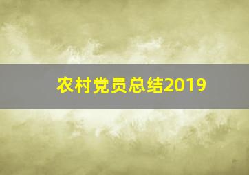 农村党员总结2019