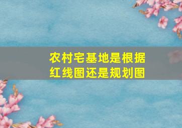 农村宅基地是根据红线图还是规划图