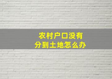 农村户口没有分到土地怎么办