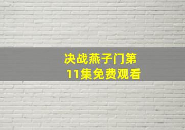 决战燕子门第11集免费观看