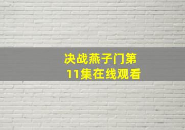 决战燕子门第11集在线观看