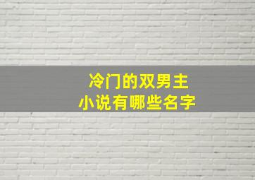 冷门的双男主小说有哪些名字