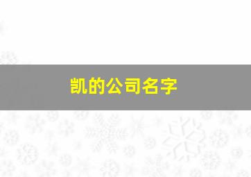 凯的公司名字