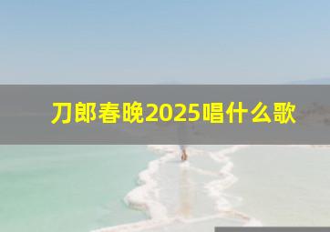 刀郎春晚2025唱什么歌