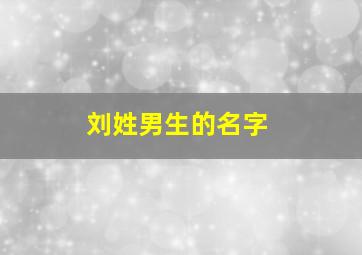 刘姓男生的名字