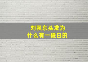 刘强东头发为什么有一撮白的