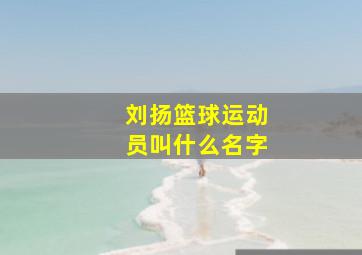 刘扬篮球运动员叫什么名字