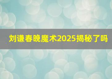 刘谦春晚魔术2025揭秘了吗