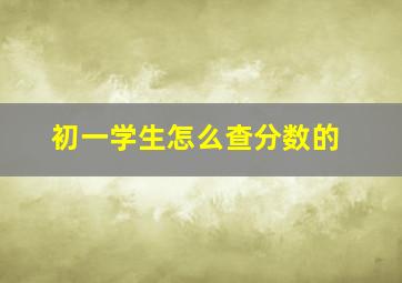 初一学生怎么查分数的