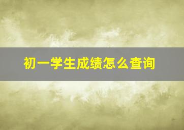 初一学生成绩怎么查询