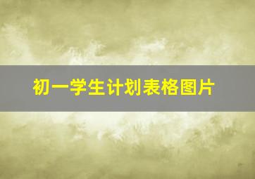 初一学生计划表格图片