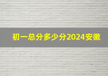 初一总分多少分2024安徽