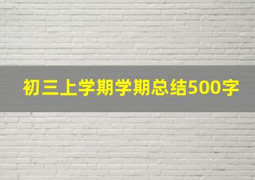 初三上学期学期总结500字