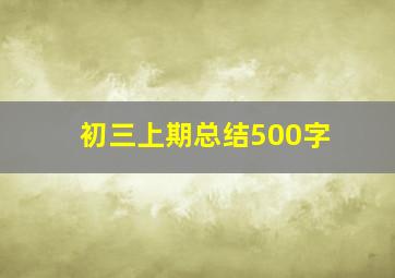 初三上期总结500字