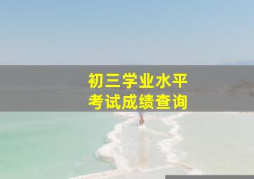 初三学业水平考试成绩查询