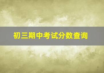 初三期中考试分数查询