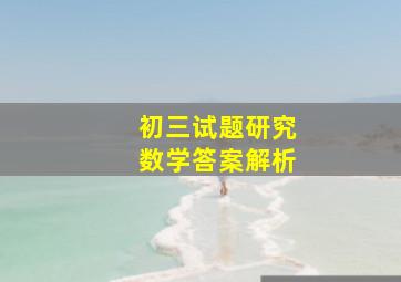 初三试题研究数学答案解析