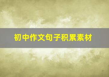 初中作文句子积累素材