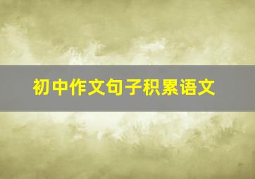 初中作文句子积累语文