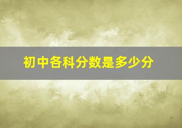 初中各科分数是多少分