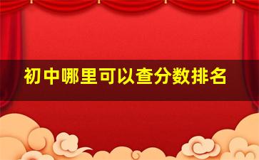 初中哪里可以查分数排名