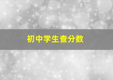 初中学生查分数