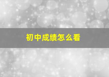 初中成绩怎么看