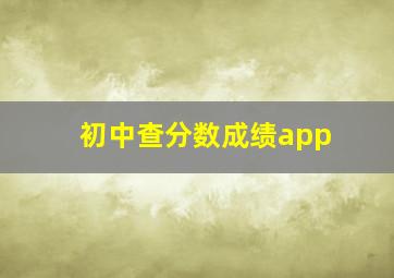 初中查分数成绩app