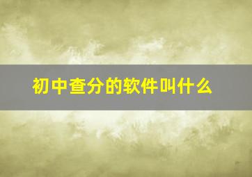 初中查分的软件叫什么