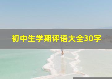 初中生学期评语大全30字