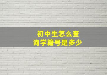 初中生怎么查询学籍号是多少