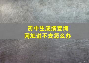 初中生成绩查询网址进不去怎么办