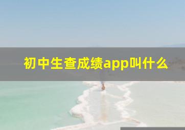 初中生查成绩app叫什么