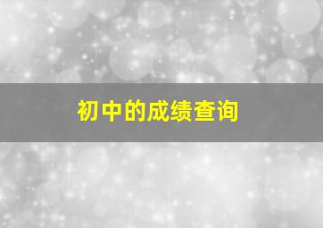 初中的成绩查询