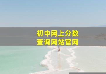 初中网上分数查询网站官网