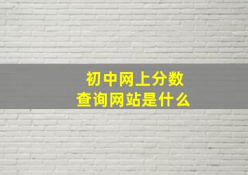 初中网上分数查询网站是什么