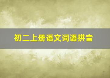 初二上册语文词语拼音