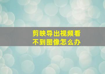 剪映导出视频看不到图像怎么办