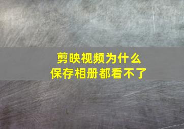 剪映视频为什么保存相册都看不了