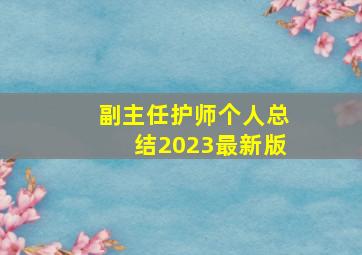 副主任护师个人总结2023最新版