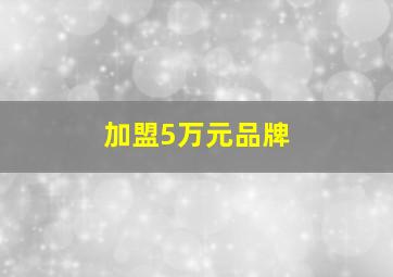 加盟5万元品牌